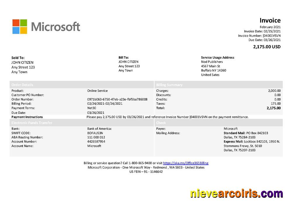USA Microsoft invoice